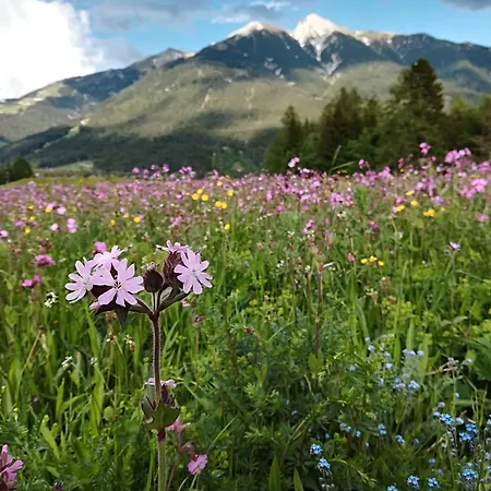 Eden - Aktiv- & Wohlfuehlhotel In Tirol Auf 1200m Hoehe Hotel