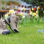 Eden - Aktiv- & Wohlfuehlhotel In Tirol Auf 1200m Hoehe 제펠드 인 티롤