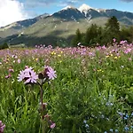 Eden - Aktiv- & Wohlfuehlhotel In Tirol Auf 1200m Hoehe 호텔