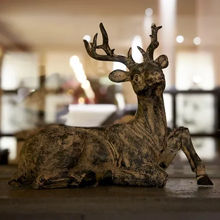 Eden - Aktiv- & Wohlfuehlhotel In Tirol Auf 1200m Hoehe Hotel 4*